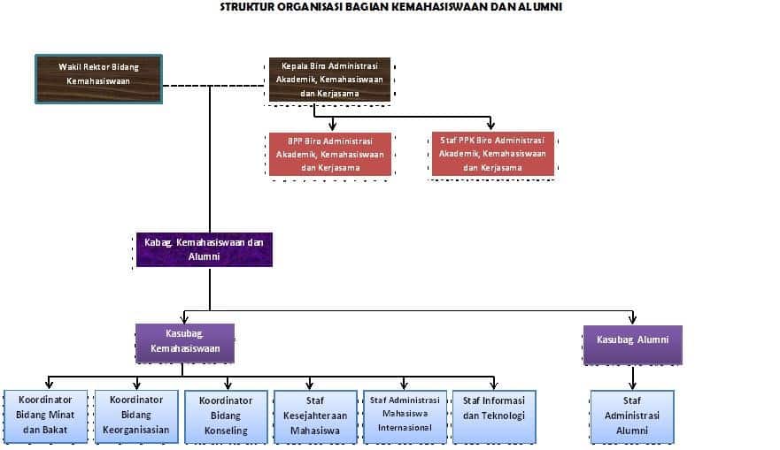 Contoh Struktur Organisasi Perusahaan, Sekolah hingga Kampus